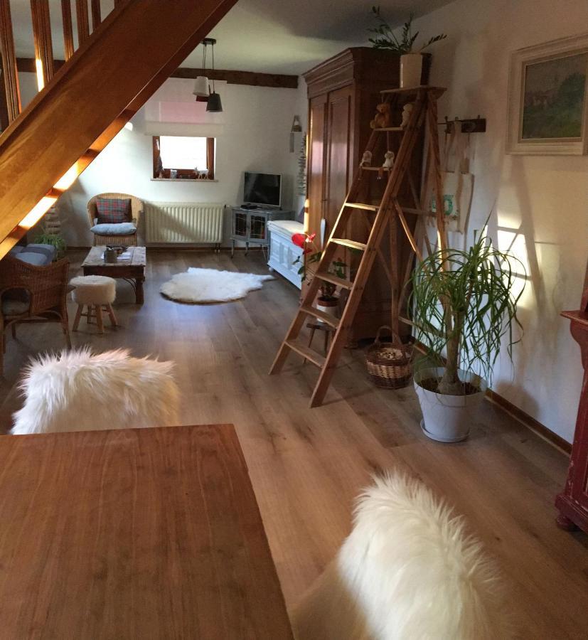 Les Appartements D'Estelle La Petite-Pierre Exteriér fotografie