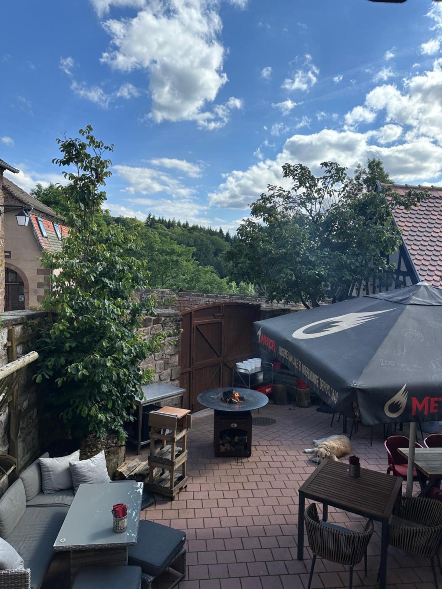 Les Appartements D'Estelle La Petite-Pierre Exteriér fotografie