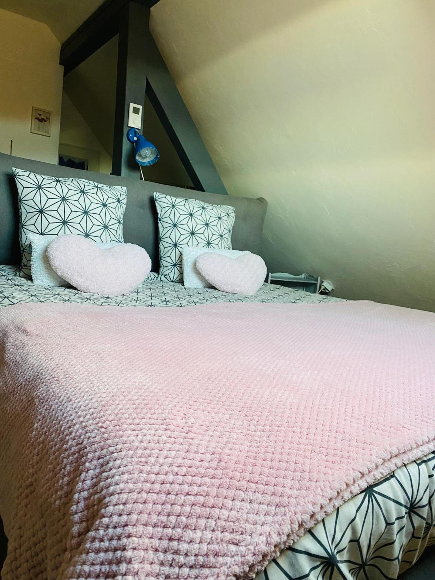Les Appartements D'Estelle La Petite-Pierre Exteriér fotografie