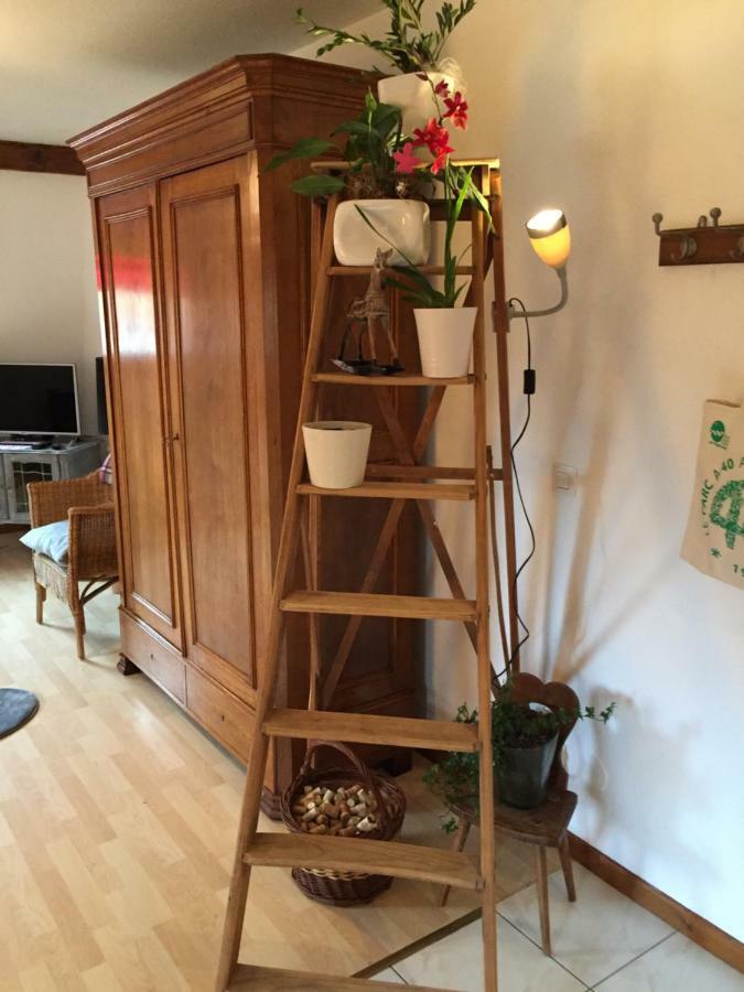 Les Appartements D'Estelle La Petite-Pierre Exteriér fotografie