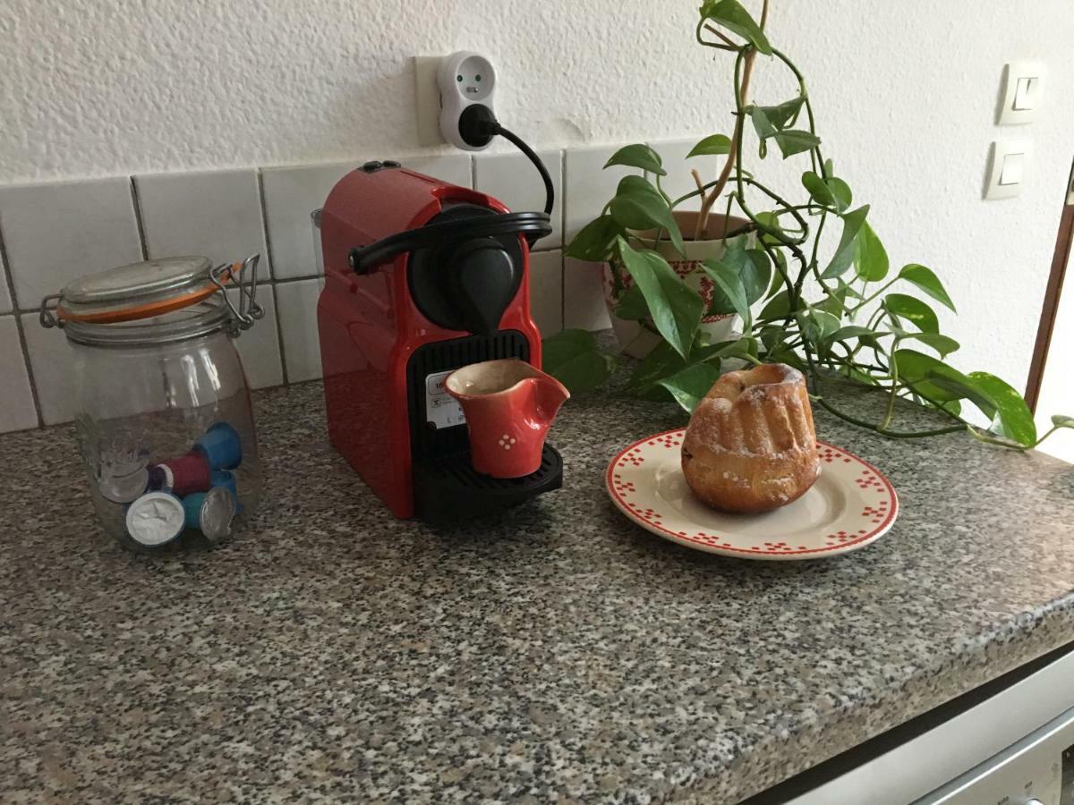 Les Appartements D'Estelle La Petite-Pierre Exteriér fotografie