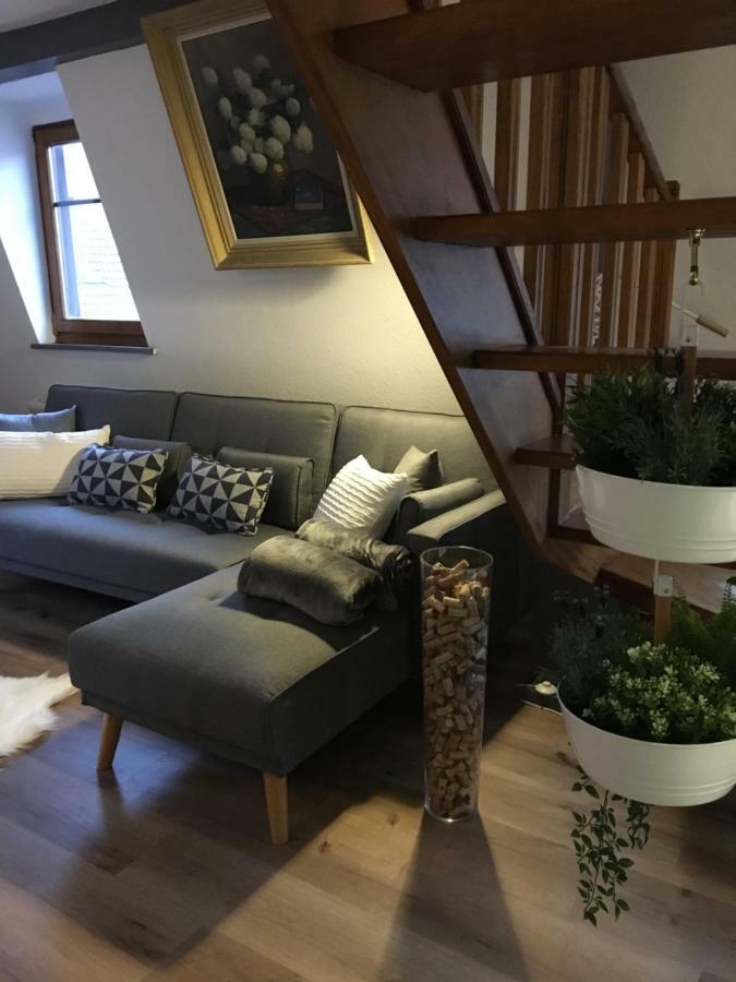 Les Appartements D'Estelle La Petite-Pierre Exteriér fotografie